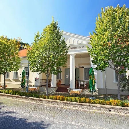 Отель Blaha Lujza