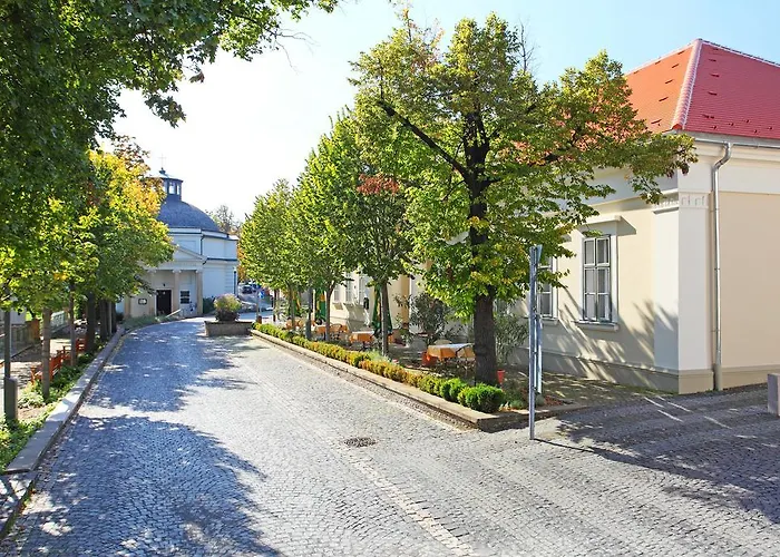 ホテル Blaha Lujza バラトンフレド